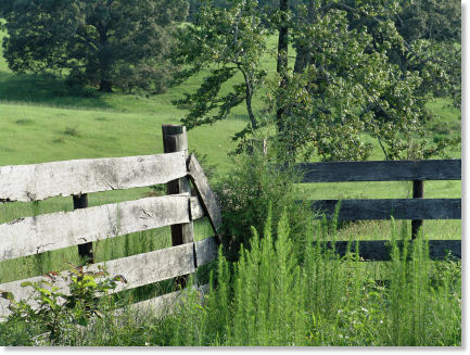 Old Country Fence