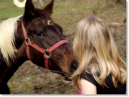 Kisses for the horse.